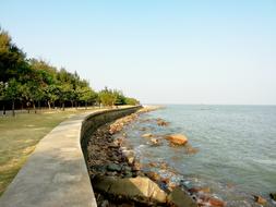 Sunshine Sea