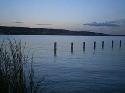 wooden posts in the lake