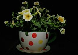 Flower Cup Of