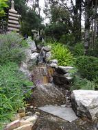 Garden Japanese