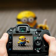 Minion Camera Photo