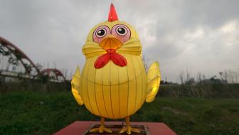The Lantern Festival Chicken