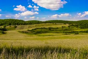 Country Slovakia