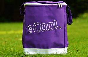 cooler bag cool coolness fabric