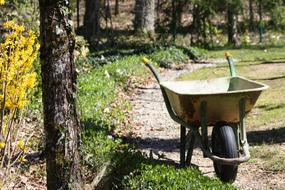 Wheelbarrow Garden Barrow