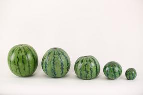 Watermelon Illusion sizes