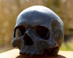 Skull And Crossbones Human