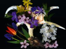 Still Life Mussels Flowers