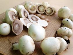 Mushrooms Button Chopped