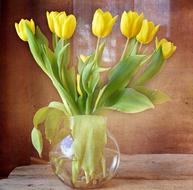 Tulips Bouquet Yellow Flowers