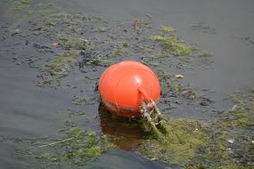 Buoys Water Sea