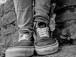 Shoes Sneakers