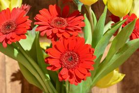 Flowers Bouquet Yellow Red