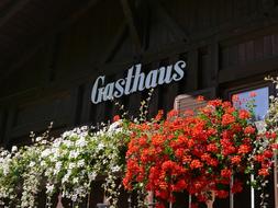Inn Balcony Flowers