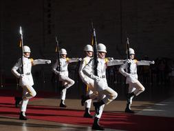 Army Goose Step Consistency