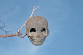 Skull The Horrors