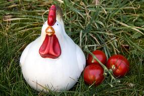 Chicken Tomatoes