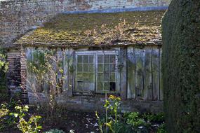 Disused Potting Shed Lean-To