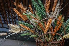 Wheat Plastic