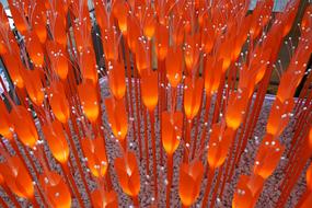 Flowers Art Tulips decoration