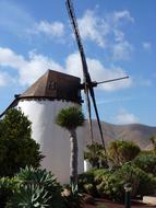 Windmill Fuerteventura