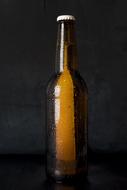 Beer Bottle Alcohol