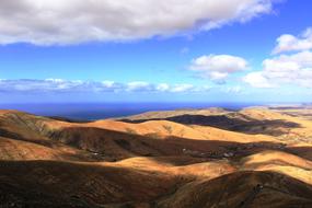 Shadows Desert
