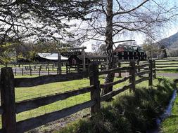 Fence Field Waldeck