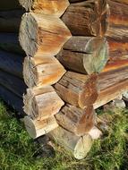 Blockhouse Tree