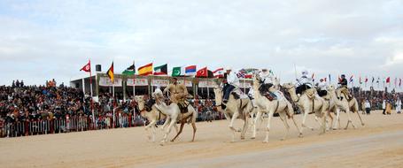 Tunisia Camel Racing Festival