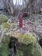knife stuck in a stump