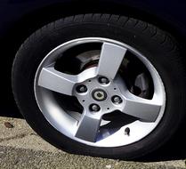 Mature Rim Rubber