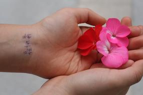 Spring Flowers Hands