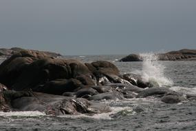 Sea Sky