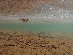 Underwater Water Lake