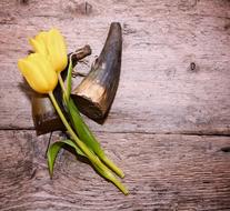 two Yellow Tulips and vintage gunpowder filler on wood