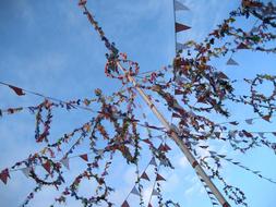Padstow May Pole Day Old