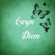 seize the day butterflies enjoy