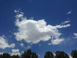 Sky Blue Heart