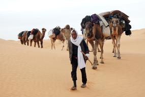 Tunisia Bedouin Desert
