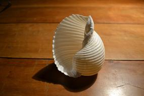 Shell Purity Object