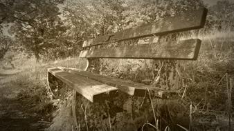 Bank Bench Out