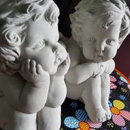 Doll View