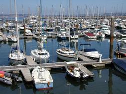 Marina Brixham Devon