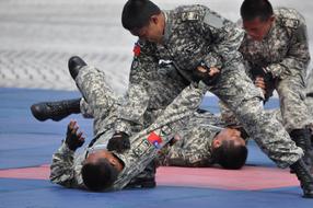 Soldier Rally Combat Skills