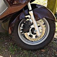 Mature Motor Scooter Brake