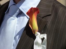 lily in the buttonhole of a wedding suit