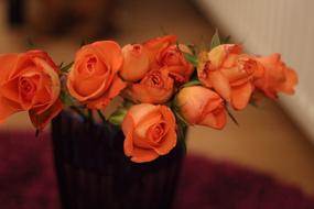 Close-up of the beautiful, orange rose flowers of different shades with green leaves