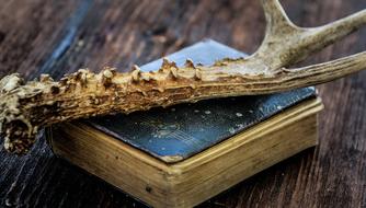 old horn on a book
