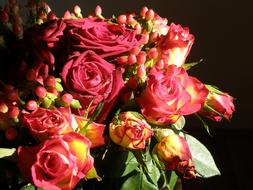 Close-up of the beautiful bouquet of colorful rose flowers with green leaves, in light, at dark background